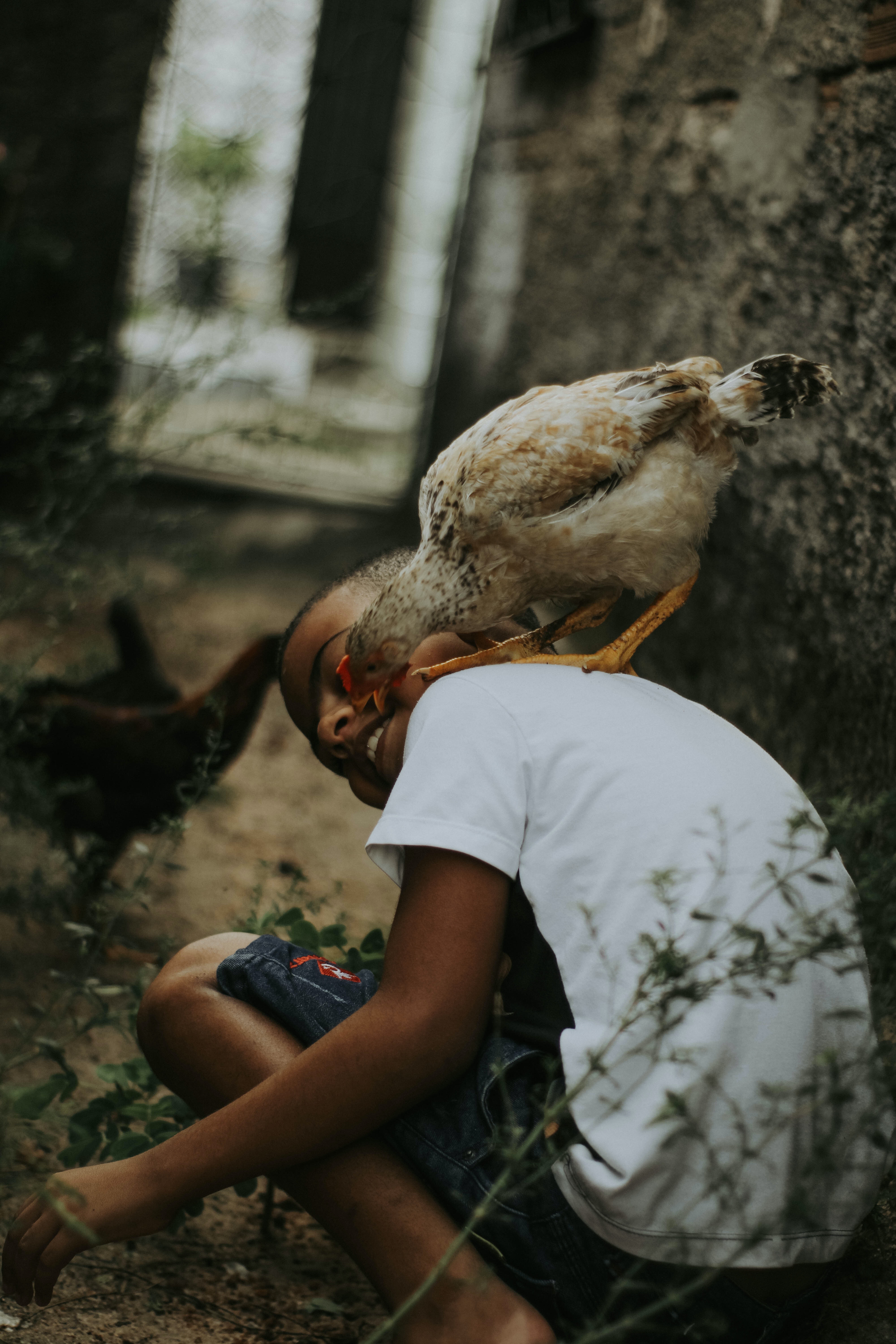 pexels-gabriel-frank-16255416